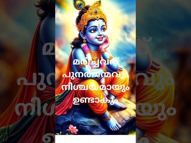 ശ്രീമദ് ഭഗവത് ഗീത# )(ദുഃഖിച്ചിട്ട് കാര്യമില്ല# best spiritual video#Sudeesh kp#shortviedio #shortes