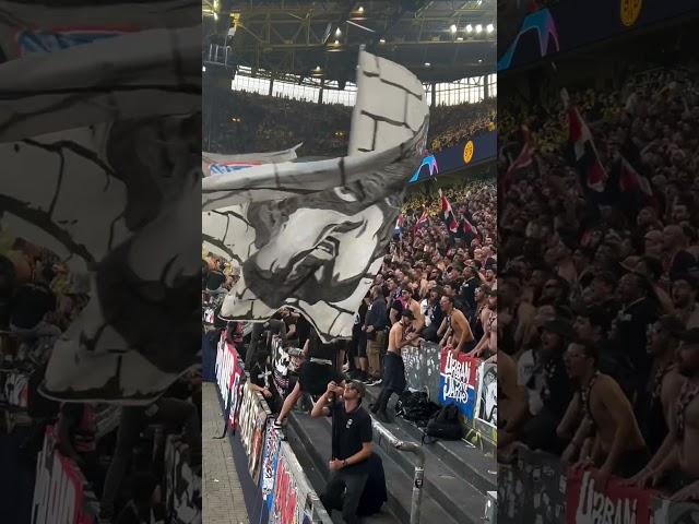 Flashbacks:PSG fans at Signal indula park.