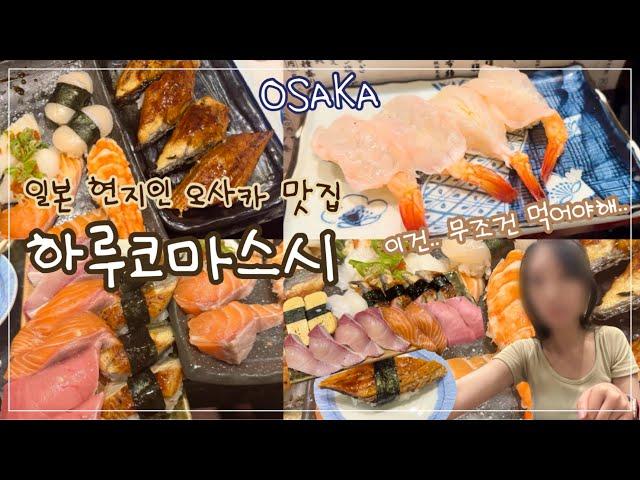 일본 오사카 현지인 찐찐 스시맛집!하루코마스시 본점에서 10만원치 먹다..