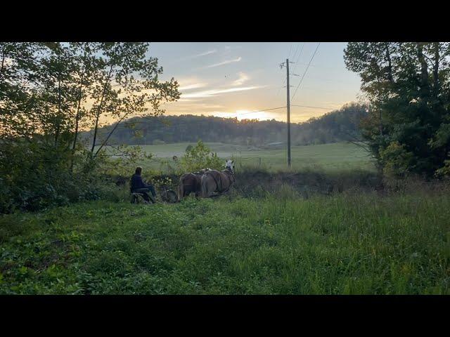 Mowing with Horses | Titus Morris’ Henson Creek School of Country Living