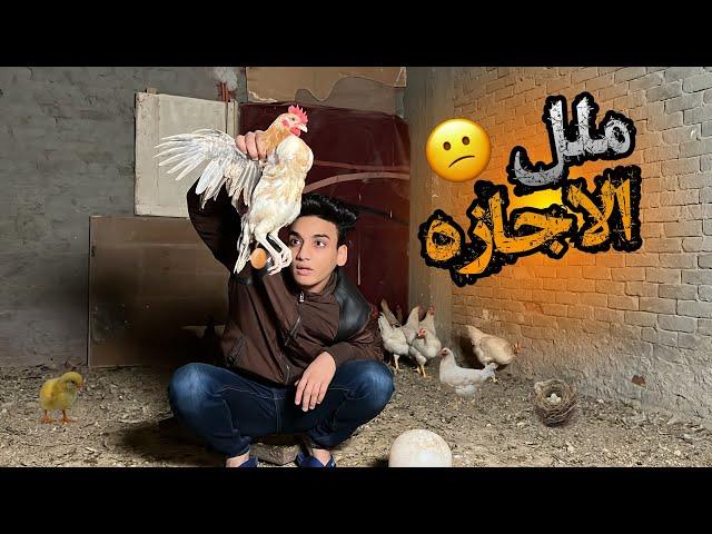 ملل الاجازه  | القيصر