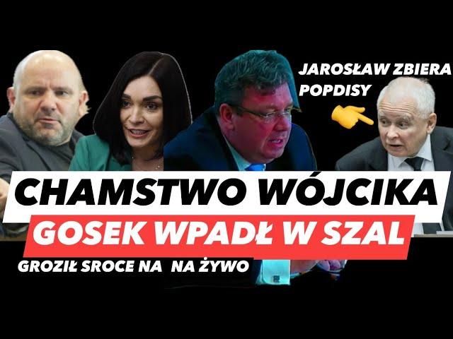 WÓJCIK JAK PROSTAK – GOSEK RZUCA KONSTYTUCJĄ️KACZYŃSKI ŻĄDA REFERENDUM I SROKA OFIARĄ GRÓŹB PiS