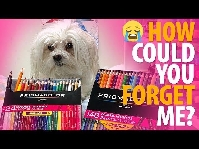 The Forgotten PRISMACOLOR Pencils! [Prismacolor Junior Review]