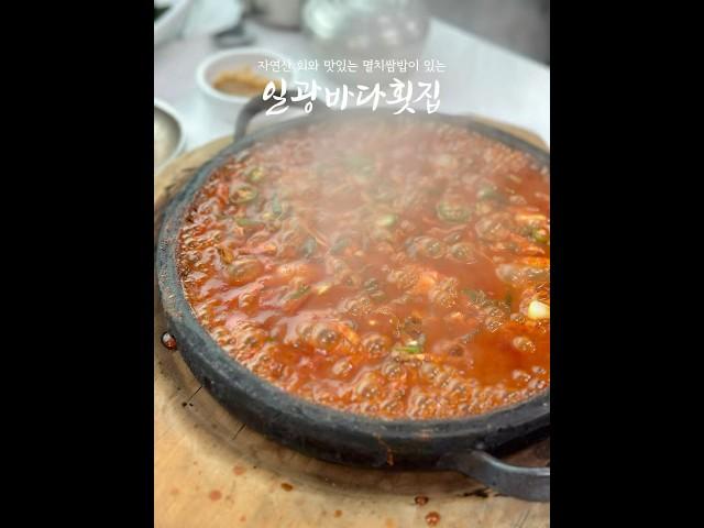 자연산 회와 맛있는 멸치쌈밥이 있는 일광바다횟집 #부산맛집 #부산 #멸치쌈밥 #busan #koreanfood #food