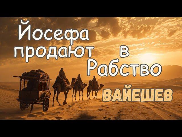 ЙОСЕФА ПРОДАЮТ В РАБСТВО -Глава:Вайешев (И Поселился) Мидраш Рассказывает. #иудаизм #тора #истина