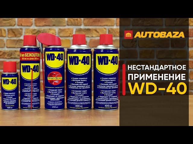 Нестандартное применение WD-40. Где может пригодиться смазка WD-40? Универсальная смазка WD-40.