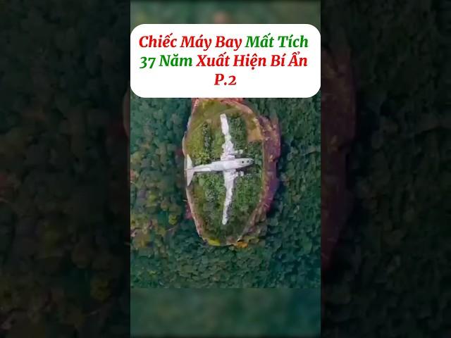[P.2] Máy bay mất tích bất ngờ xuất hiện #shorts