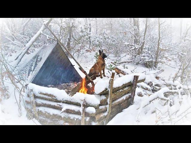 Caught in a Storm - Winter Camping in a Snowstorm with My Dog - Bushcraft Trip - Survival