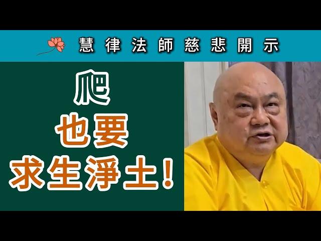 爬 也要求生淨土！ ~ 慧律法師慈悲開示