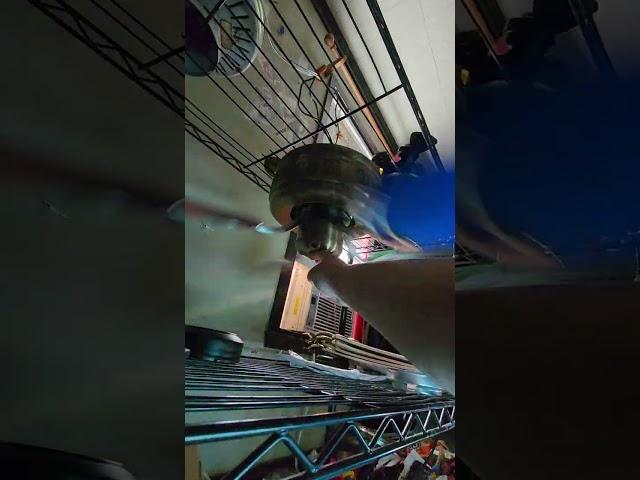 Evergo Emperor Ceiling Fan Demonstration