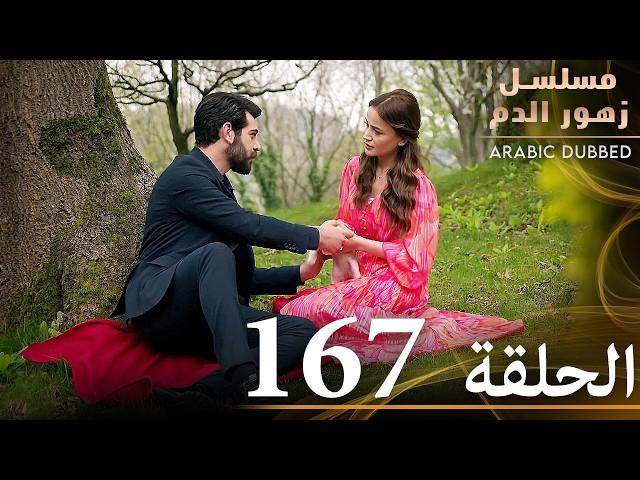 الحلقة 167 | مسلسل زهور الدم | مدبلج بالعربية | Kan Çiçekleri