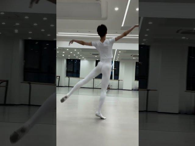 Chinese Ballet Boys Daily Class