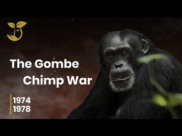 The Gombe Chimpanzee War | Brothers4Change