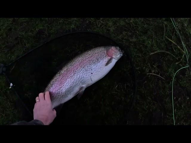 #97 : Testwood , Clearwater and Monster Trout