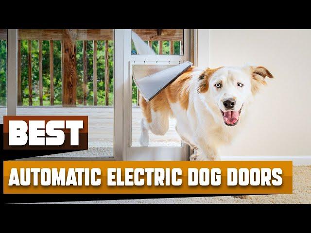 Automatic Electric Dog Door : Can I Try Once from here?