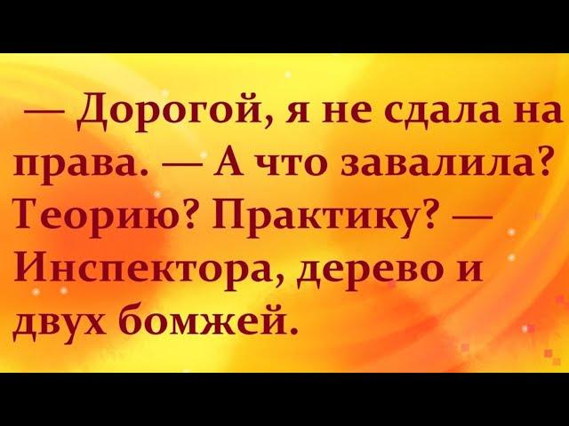 Упадёте со стула | Лучшие анекдоты 2024 года