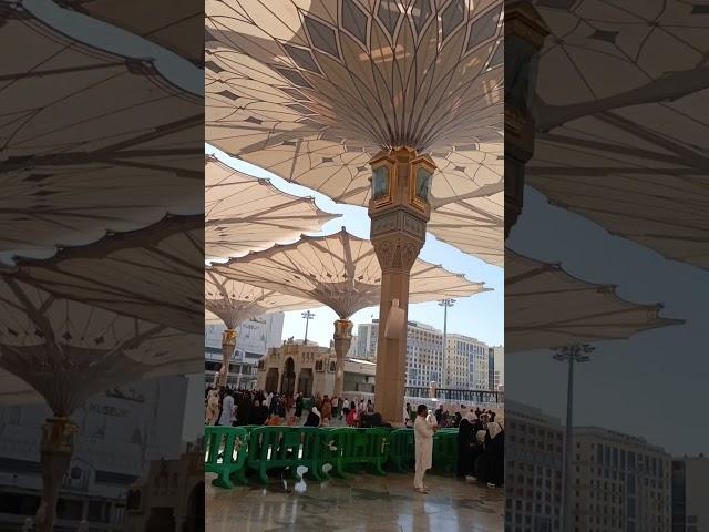 darood o salam#ayan tayyab#muhammadﷺ #Madina#viral#trending