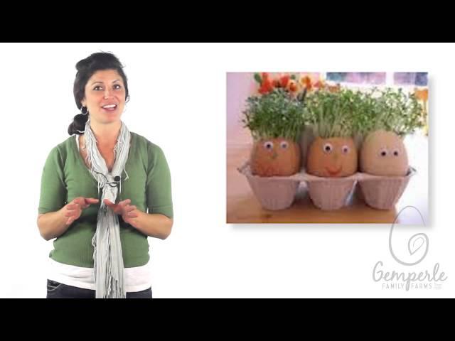 "Gemperle Farms" and our Fun Egg-Speriments !