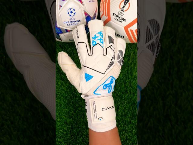 Top 5 Finger Protection GK Gloves 