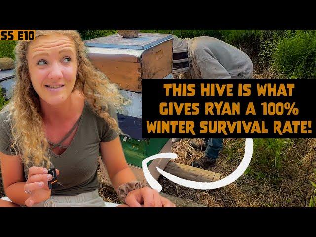 How To NEVER Buy Bees Again w/ Ryan Nimms | Beekeeping 101 #beekeeping