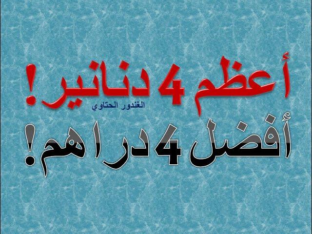 ما أعظم أربعة دنانير ! ما افضل اربعة دراهم ! Dr. Advisor الغندور الحتاوي