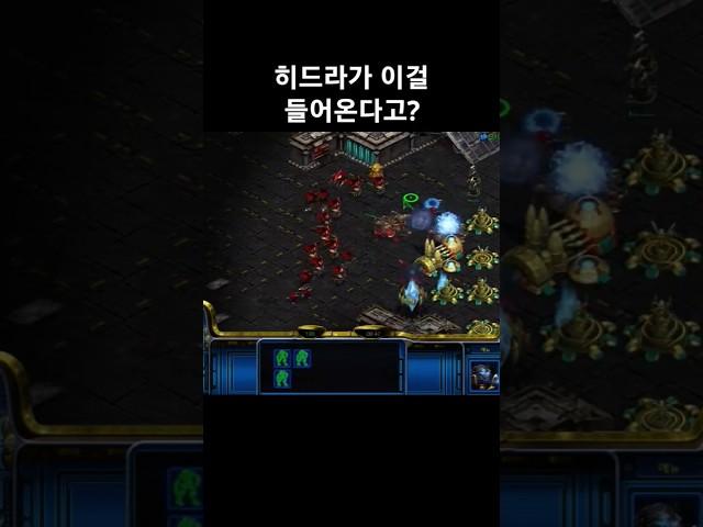 히드라가 이걸 들어온다고? #스타크래프트 #래더 #프로토스 #전략 #빌드 #히드라