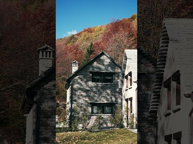 Il Villaggio dei Crodini - Una vacanza nella natura! Baite di montagna, immerse nel bosco.