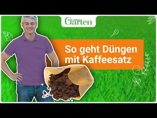 Kaffeesatz als Dünger – ideal für Gartenpflanzen