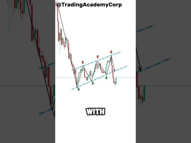 The new Indicator by TradingView & Trading Academy  #daytrading  #tradingstrategies  #training