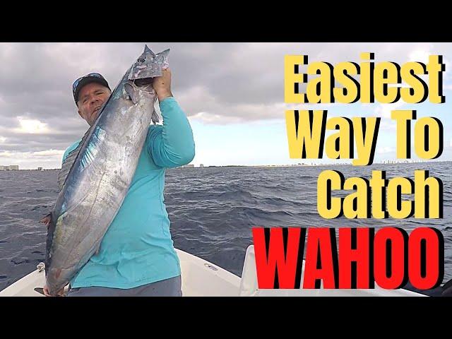 How To Catch WAHOO The EASIEST Way LURES, BAIT, GEAR, TROLLING BASICS & TACTICS