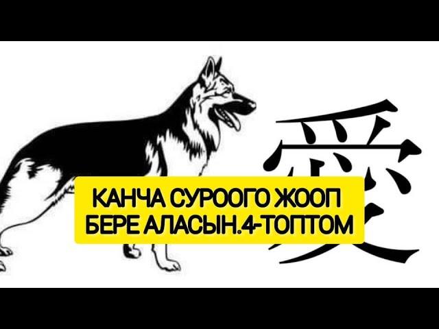 Канча суроого жооп бере аласын.4-топтомТестваша личностьЭрудицияпройти тест