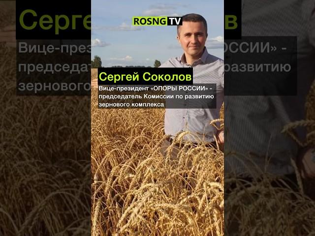 "ОПОРА РОССИИ" об озимом севе #экономика #сельскоехозяйство #россия #зерно #агро #агропром #урожай