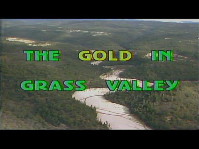 The Gold In Grass Valley