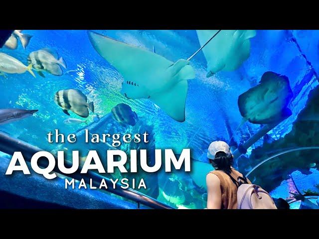 Aquaria KLCC Kuala Lumpur - The Best Aquarium in Malaysia