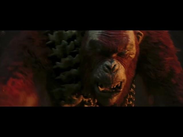 Godzilla x Kong: The New Empire (2024) - Kong Meets Skar King