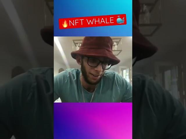 #nft whale  on buying whatever he wants 