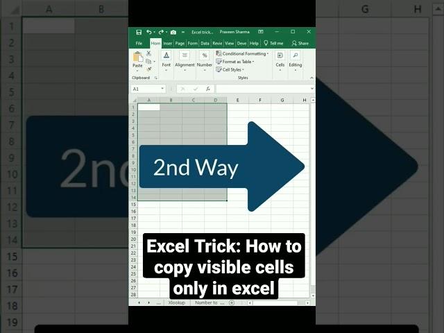 Excel Trick: How to copy visible cells only in excel.