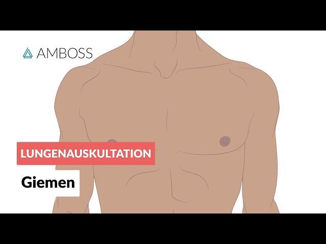 Giemen (Pfeifen) -- Lungenauskultation -- Folge 1 -- Atemgeräusche