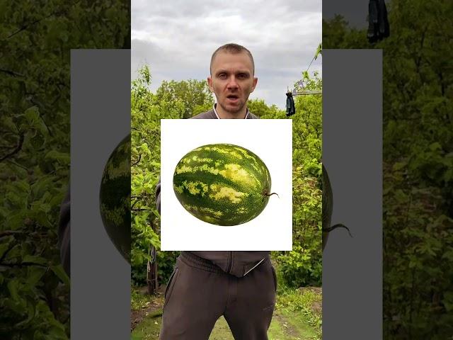 ️ САМЫЙ ОПАСНЫЙ НАПИТОК ДЛЯ МУЖЧИН - Как вы думаете, какой? Пишите в комментариях #здоровье #зож