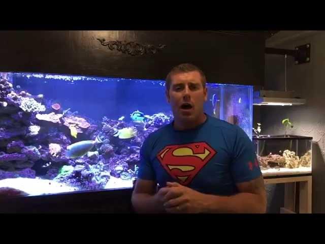 Farm Boy Reef Contest winner video