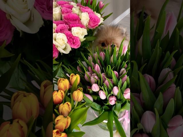 Happy Woman’s Day ️