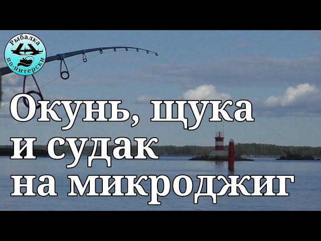 Окунь, щука и судак на микроджиг.