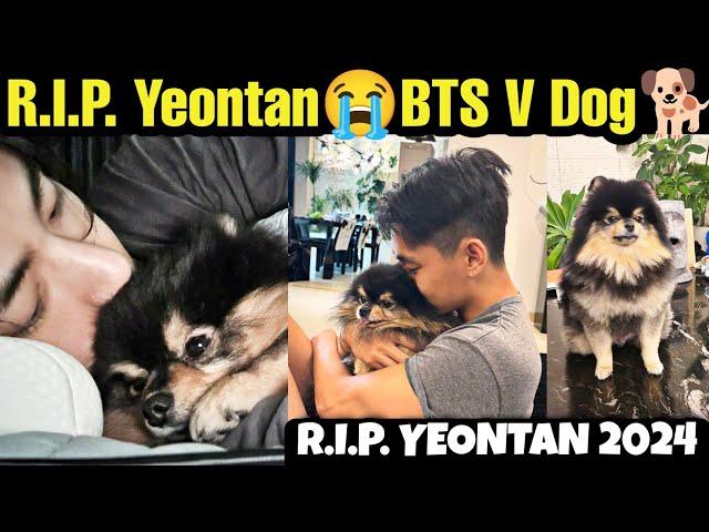 R.I.P. YEONTAN  BTS V Dog Yeontan Death  BTS V Dog Yeontan Died Today  Rest in Peace ️ Yeontan