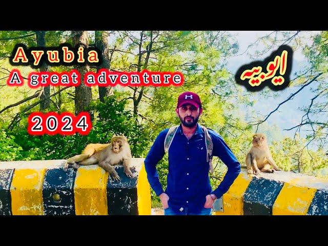 Ayubia Trip | Murree Galiyaat | Ayubia Moto Tunnel | Ayubia National Park @iftikhariffi