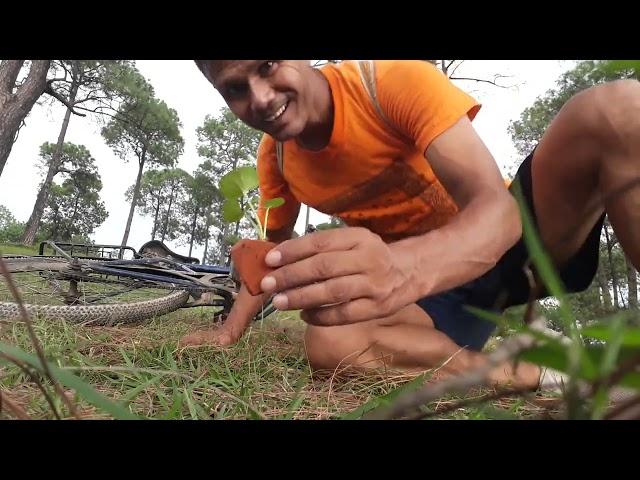 Don't forget to subscribe Bonsai Traveller Dhyan Nirakar YouTube channel...