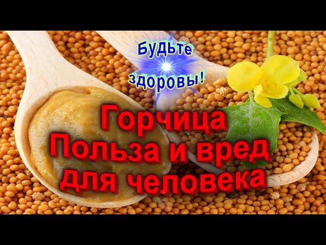 Горчица Польза и вред для человека