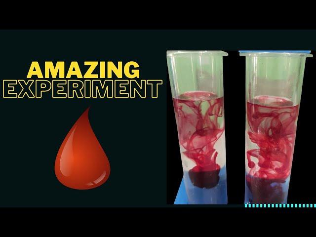 Amazing Experiment by With Red Colour  Liquid #amitnxg