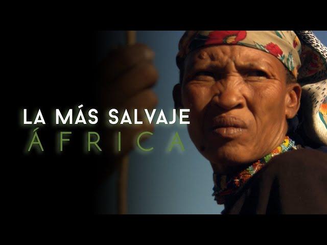 África más salvaje - Sáhara: la vida al límite