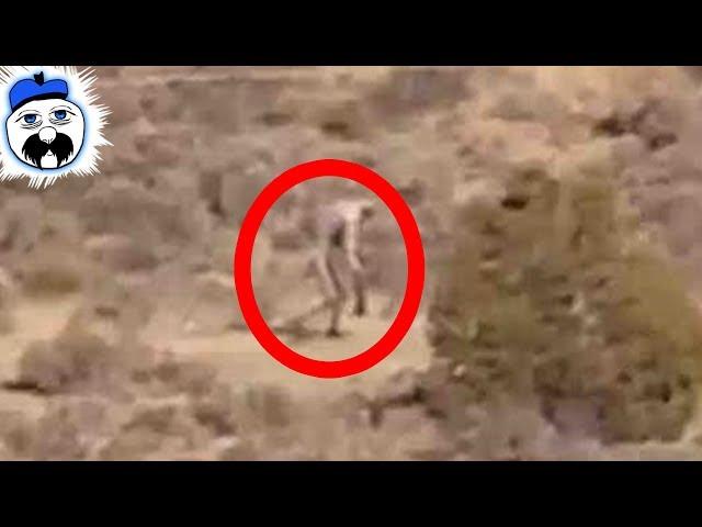 15 Weirdest Things Ever Found In The Desert