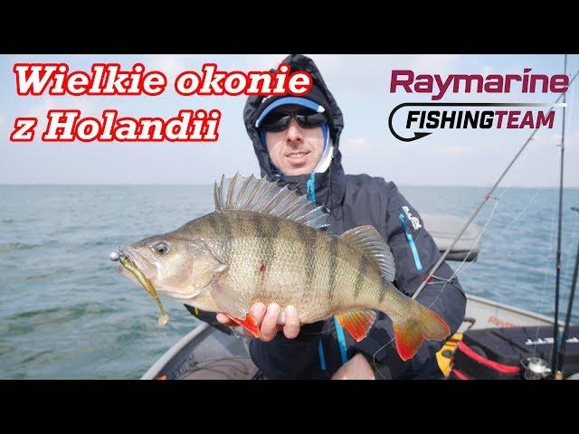 WIELKIE OKONIE Z HOLANDII | Wyprawa marzec 2018 | Raymarine | Navionics | wędkarstwo spinningowe